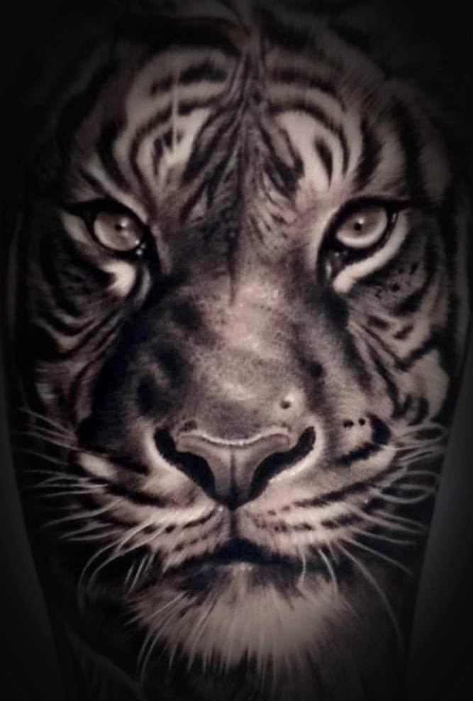 Tiger by MVD tattoo